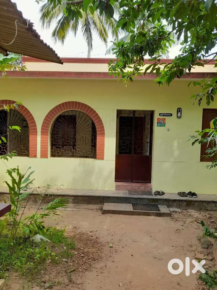 Room for rent