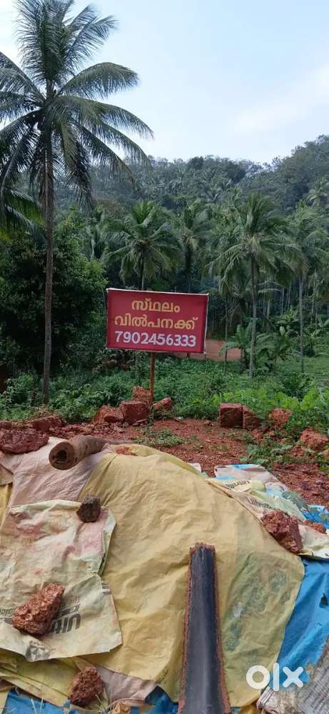 കവന്നൂരിൽ  പ്ലോട്ട് വിൽപ്പനയ്ക്ക്