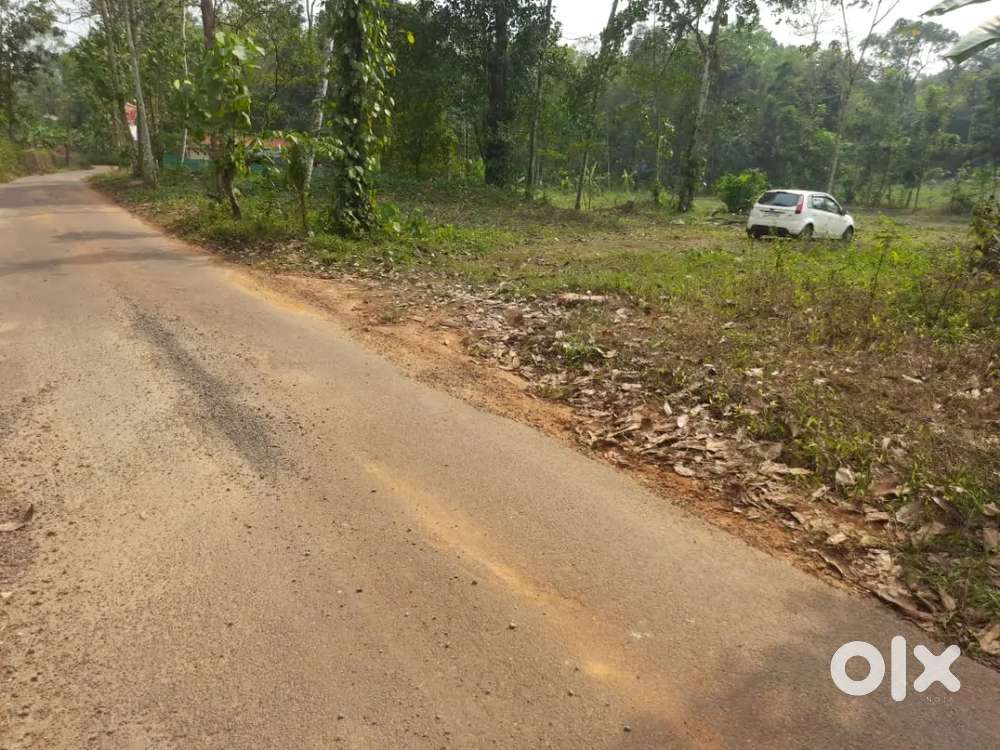 Kuravilangad  10,15 cent plots