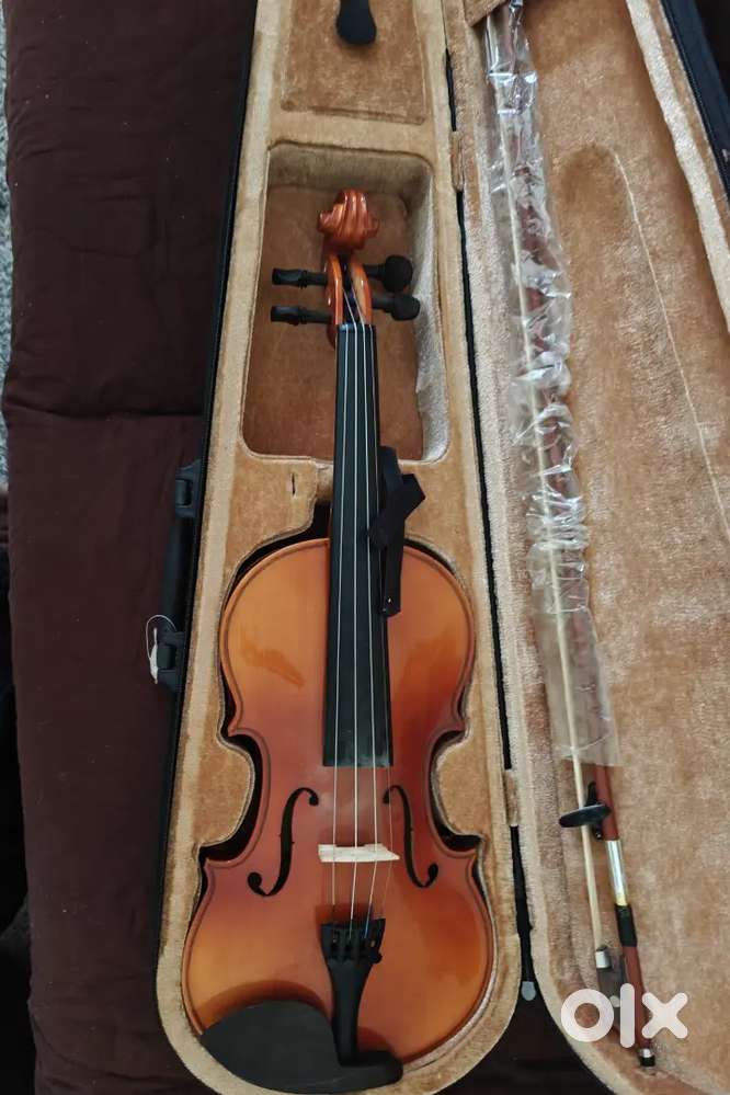 Sergio Violin