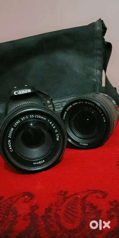 Canon Camera.