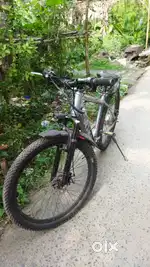 Electric cycle