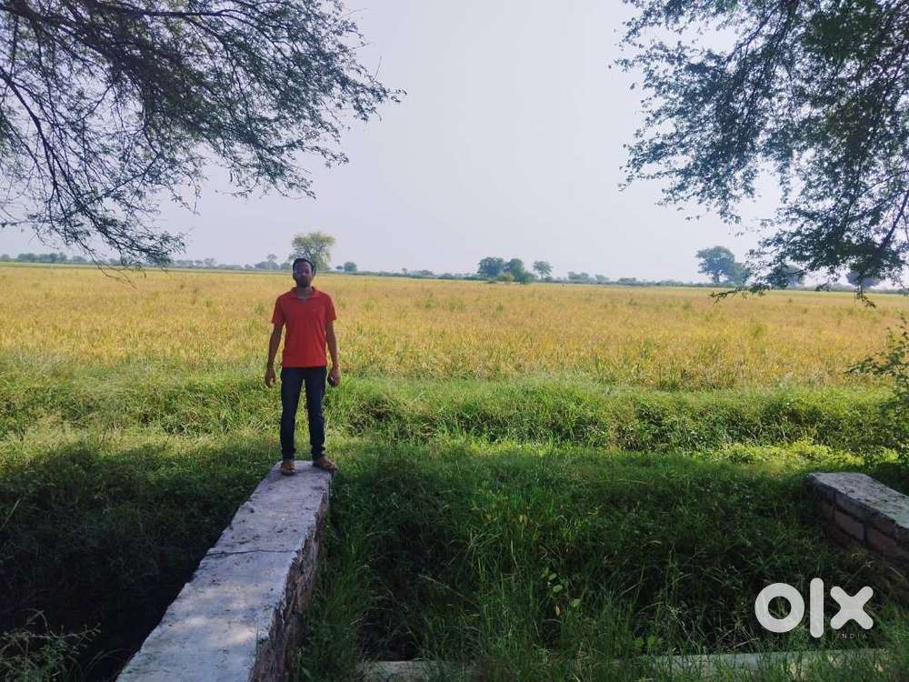 AGRICULTURE LAND LOCATED IN VILLAGE BHAOPURA