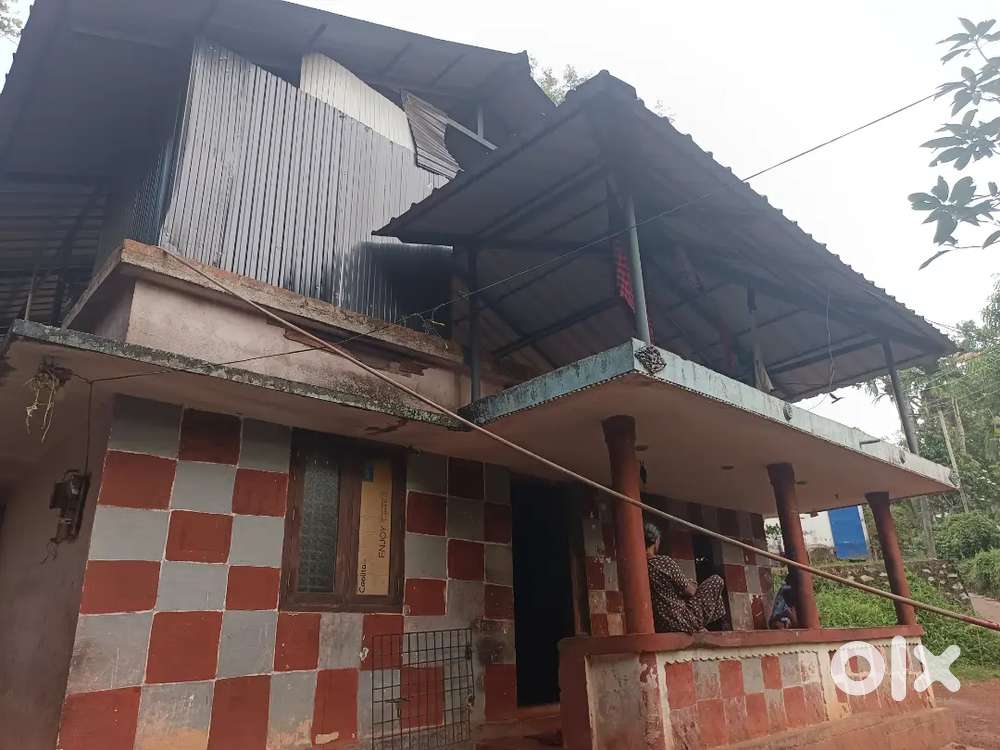 സൂപ്പർ ഏരിയ