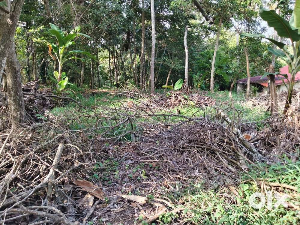 17 cent land for sale.