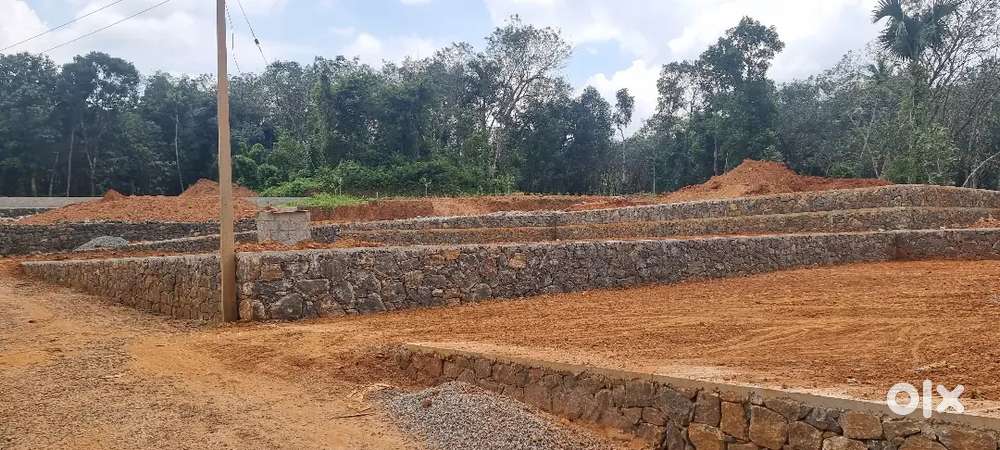 കുറവിലങ്ങാട് - കോഴ മെയിൽ റോഡിനടുത്ത് പ്ലോട്ടുകൾ സെൻറിന്  115000 മുതൽ
