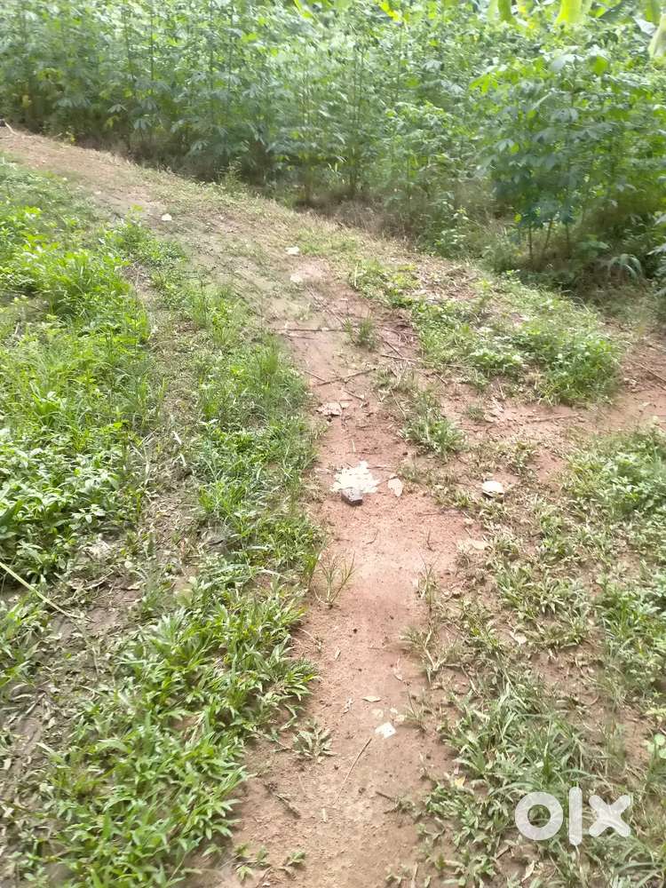 128 cent, 10 cent plot available, Urgent sale ,price negotiable