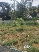 Thrissur kuttanallur 7,10,11 cent plot for sale per cent 13 lakh