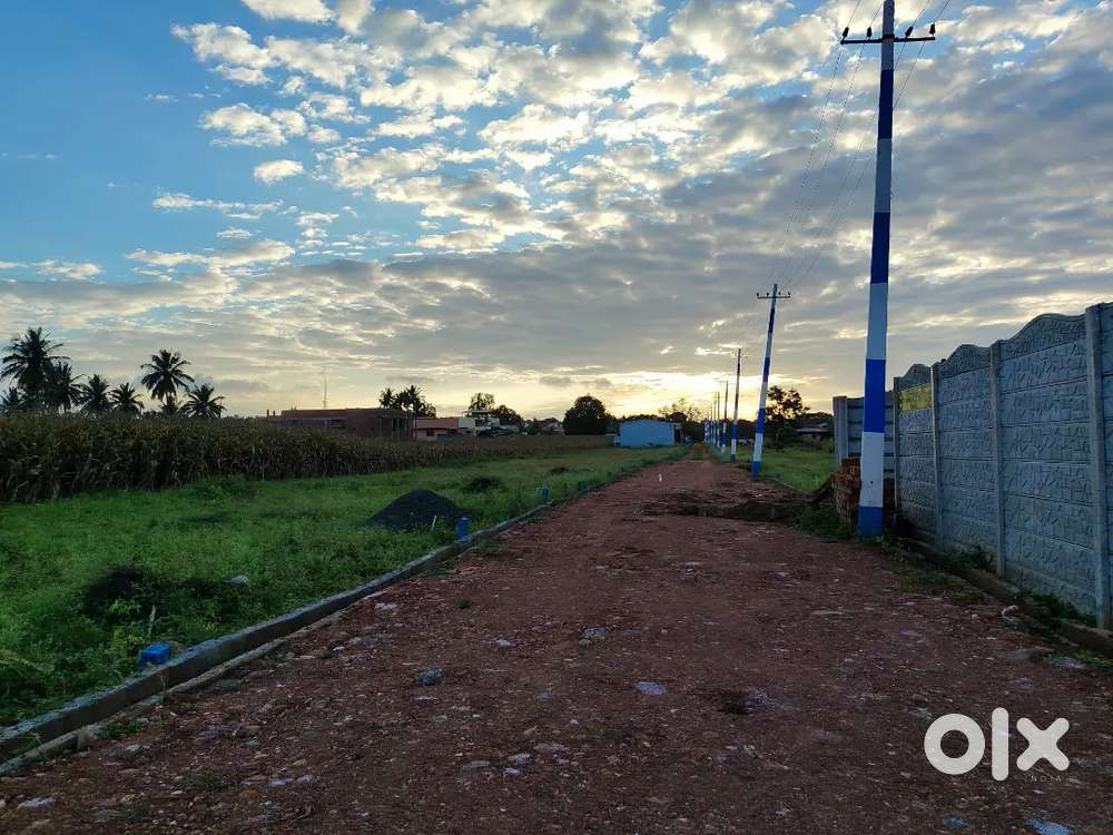 20*40 non NA site is available for sale in narendra