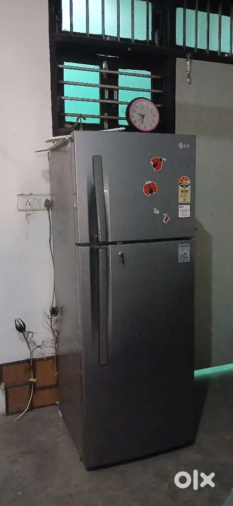 Freeze with dabble door