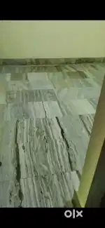 Only for girls(student), independent flat