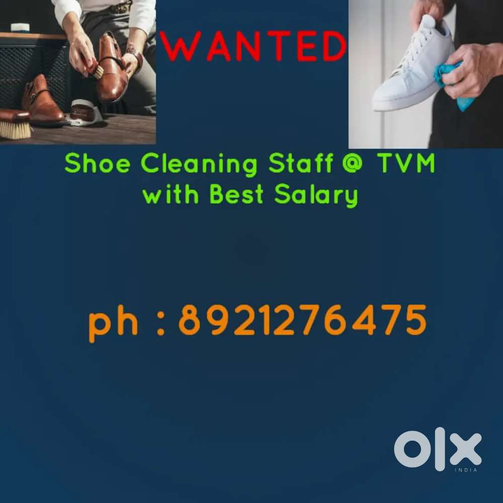 Shoe cleaner