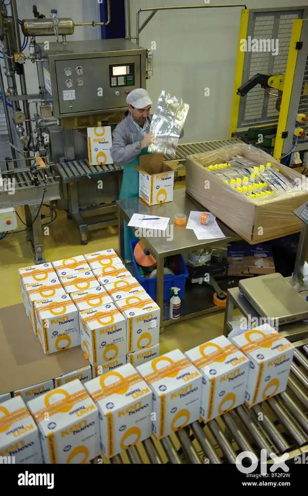 [HR VAISHNAVI THAKUR ] लखनऊ स्थान पर गोदाम में /पैकिंग/हेल्पर/नौकरी