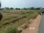 Resale plots