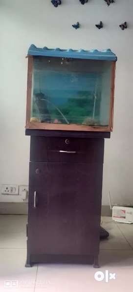 Fish Aquarium With All Accessories & Wooden Stand