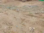 7 Cents House Plot for sale at Uthimoodu Junction, State Highway Road