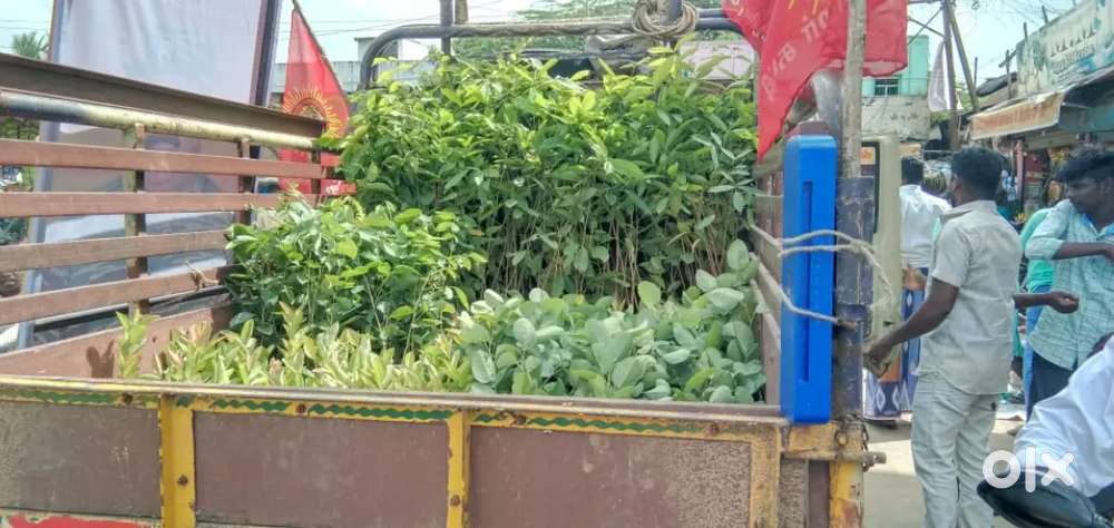 Plot for sale at TVS Nagar, sipcot