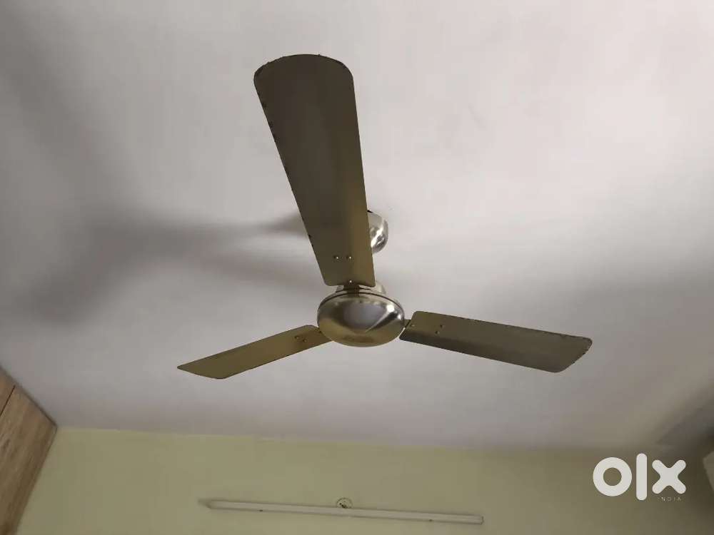 Havells Orion 1200mm energy saving ceiling fan (brushed nickel, 2 pcs)