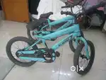 Lifelong brand cycle pair for kids 4 to 9 year old