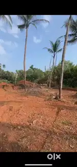 11 cent housing plot for sale