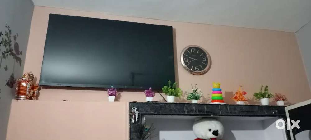 Mi 55 inch oled tv