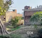 Total khetauni Mauhariya Sultanpur Uttar Pradesh
