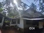 House for sale 42 +11 cent plot (kadiyangad ) negotiable