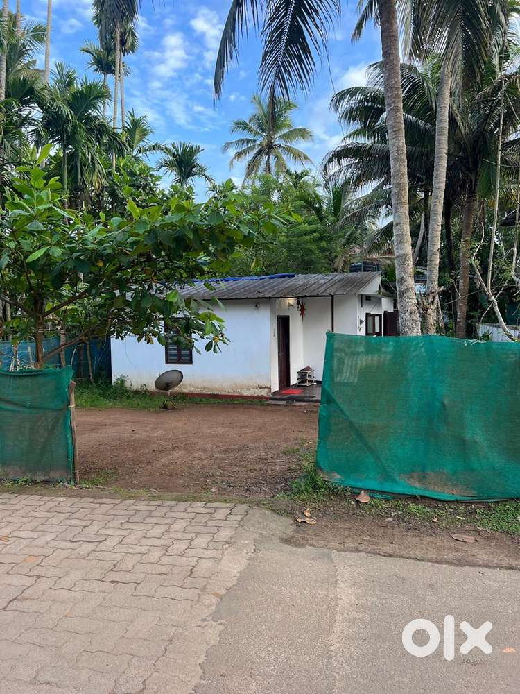 8 Cent Plot For Sale