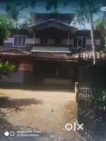 20 cent ലാൻഡ് 15 കോക്കനട്ട് ട്രീ 2 തെക്ക്