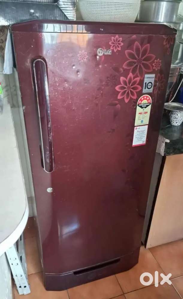 LG 5 star fridge