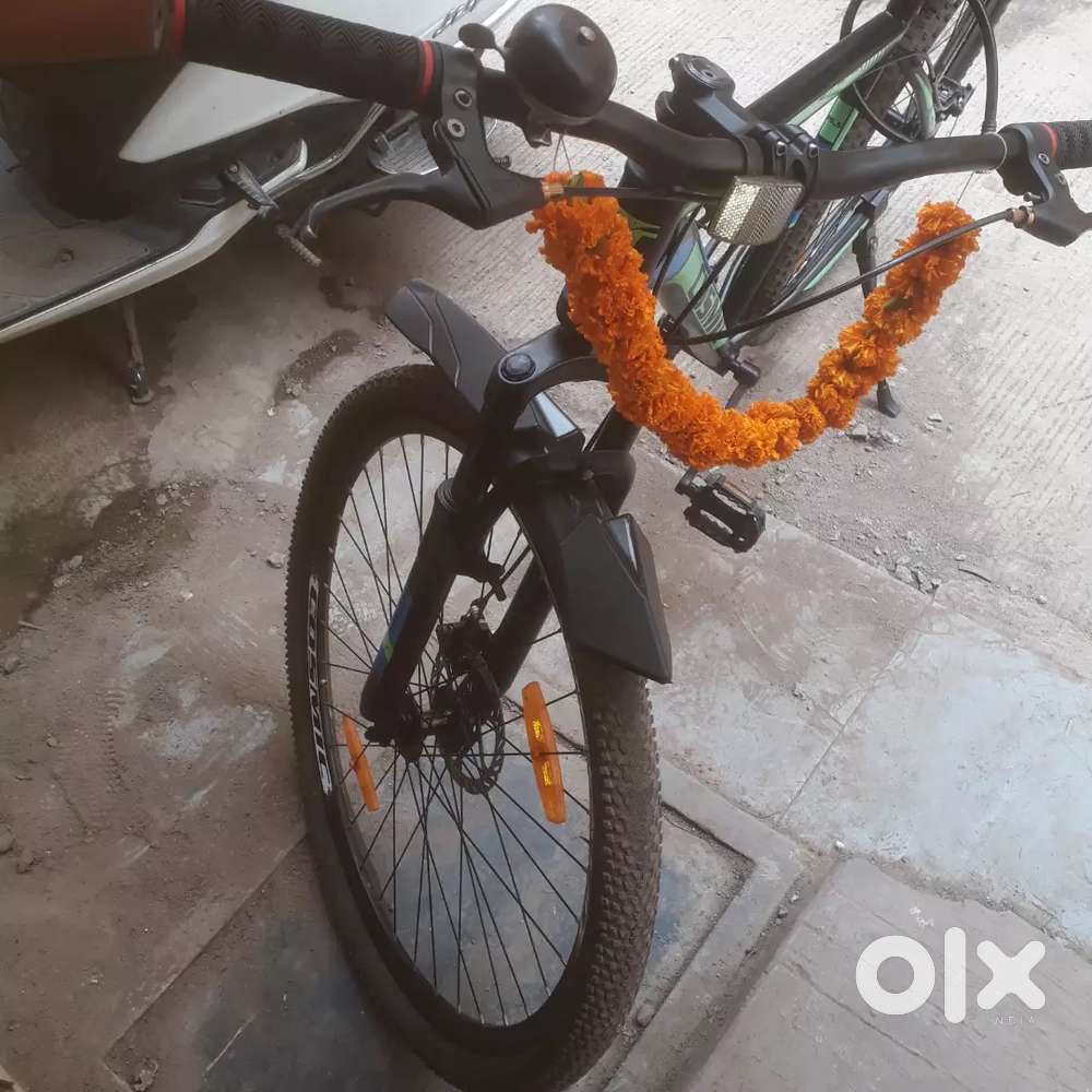 Best cycle 1year old oll condition better