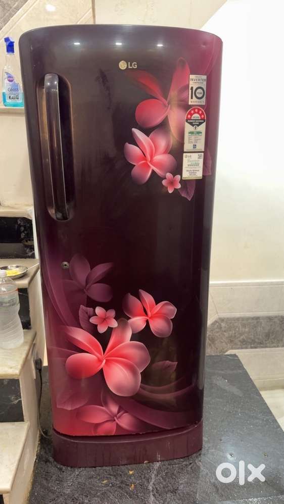 freez best price