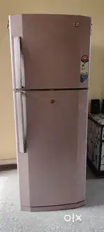 Electronic fridge