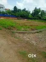 Plot for sale at Aluva kottappuram