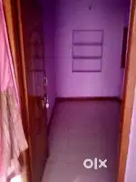 1BHK for rent in professor colony