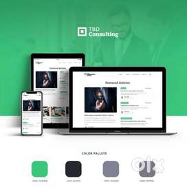 Websites developer