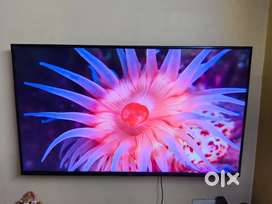 Sony 4k bravia smart tv 49