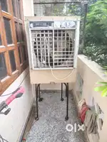 Desert cooler