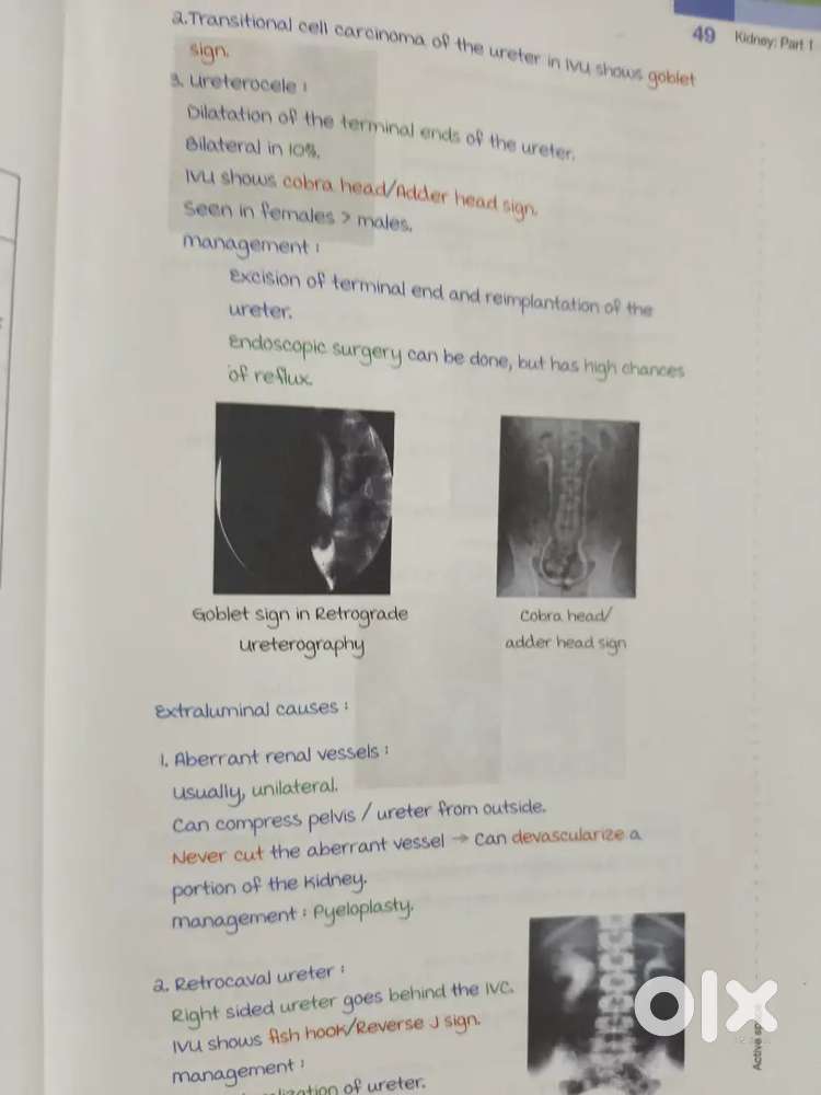 Marrow main notes edition 6.5