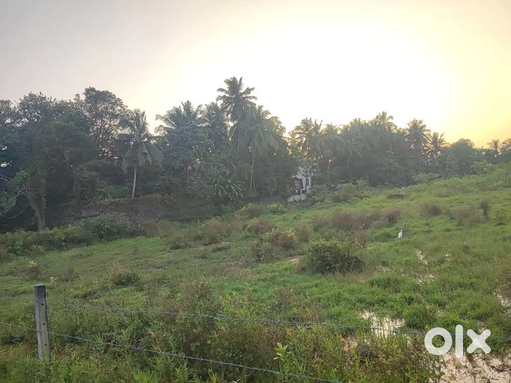 14 sense land for sale in ambalpadi