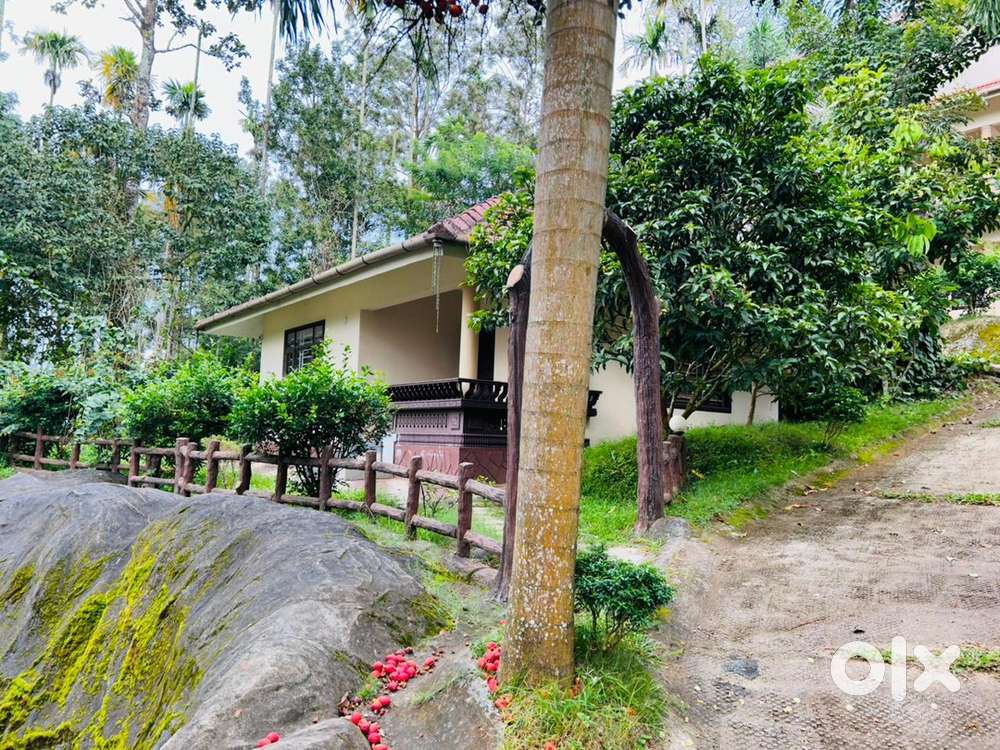 Staff required for wayanad resort