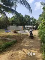 8 cent plot available in kunnamkulam@cheruvathani temple -180000/cent