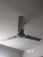 Fan to condition
