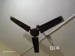 Ceiling Fan