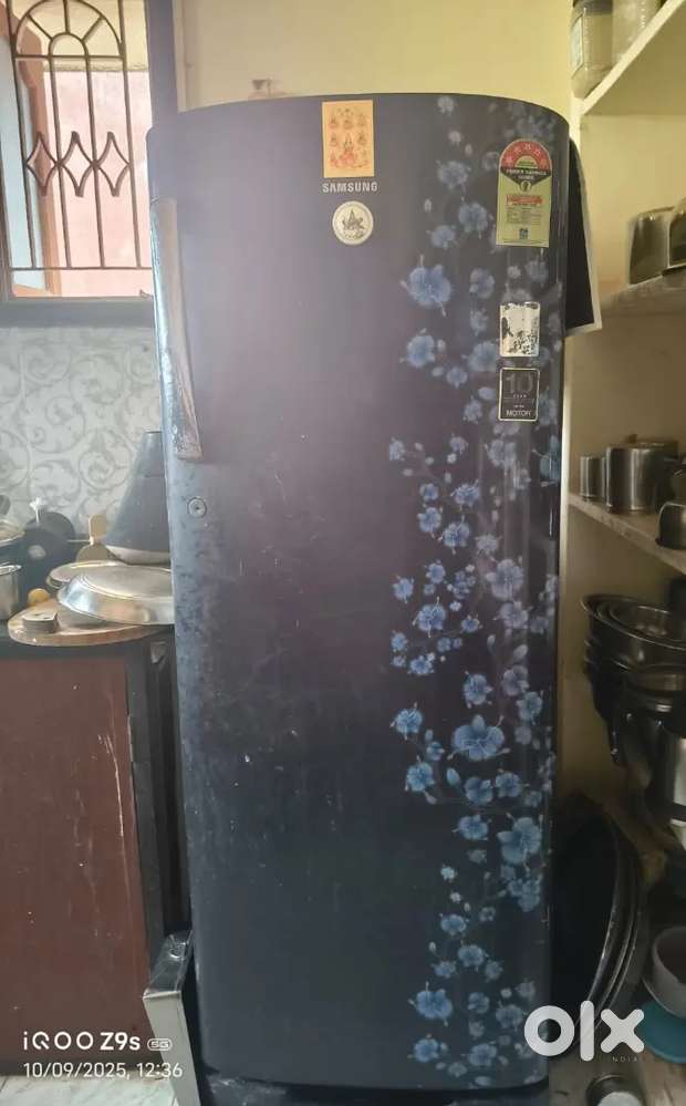 Samsung 230 L Refrigerator