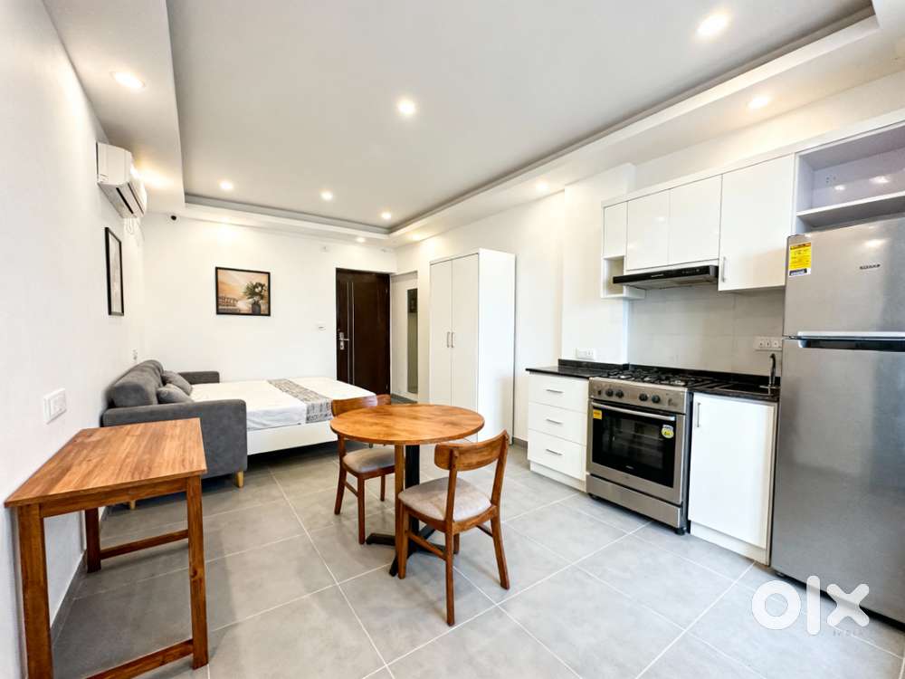Fully Furnished 1 Room Kitchen Apartment for Rent