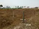 Plot For Sale At Bhalla Farms Lucknow