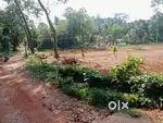 വെട്ടത്തുകവല 10 cent house plot.2.50 .lakh.