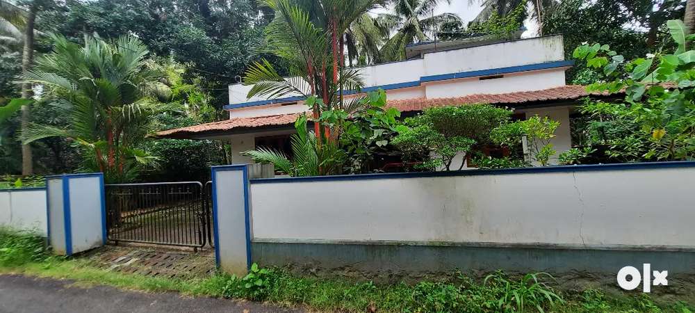 11.27 cent land n house in punkunnam,only land price, fair value 10 L
