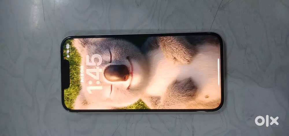 iphone 14 first hand